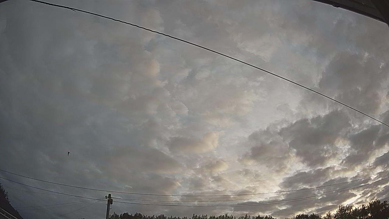 20260807_051040_cam2.jpg