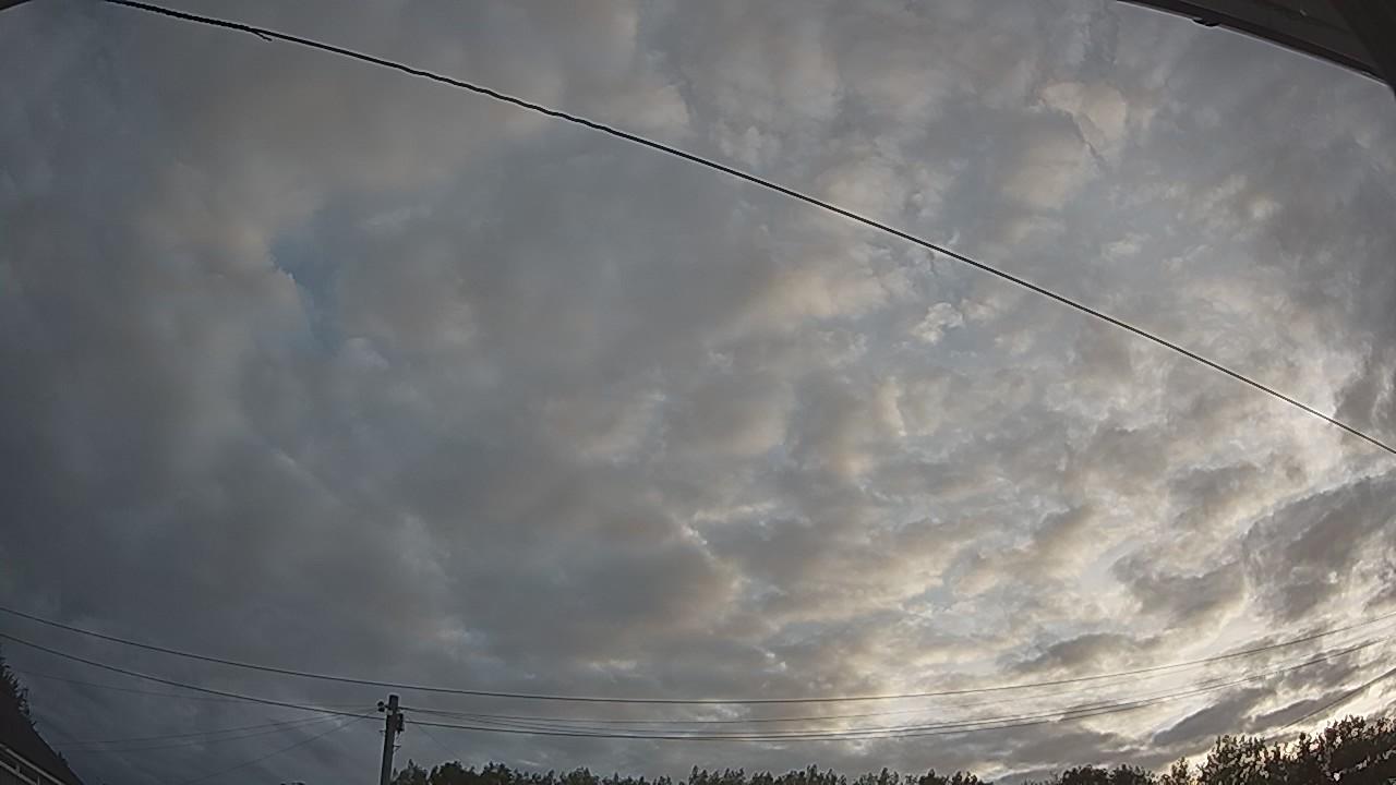 20260807_051517_cam2.jpg