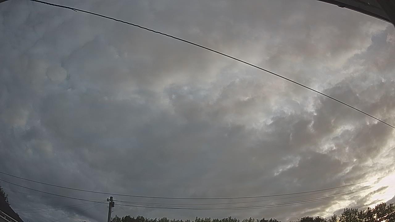 20260807_052428_cam2.jpg