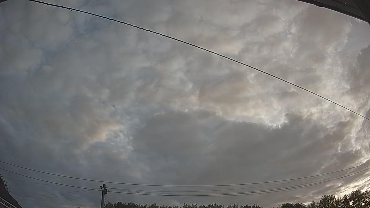 20260807_052904_cam2.jpg
