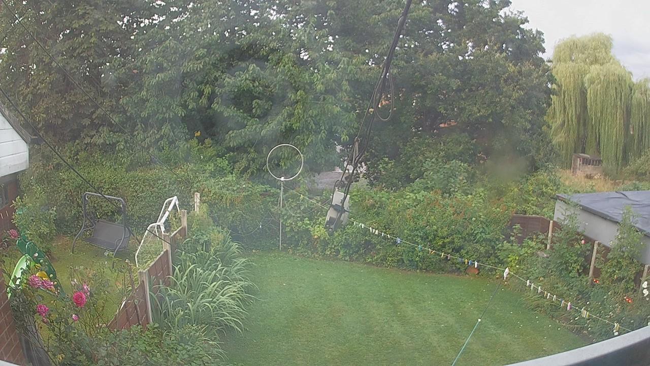 20260807_053339_cam1.jpg
