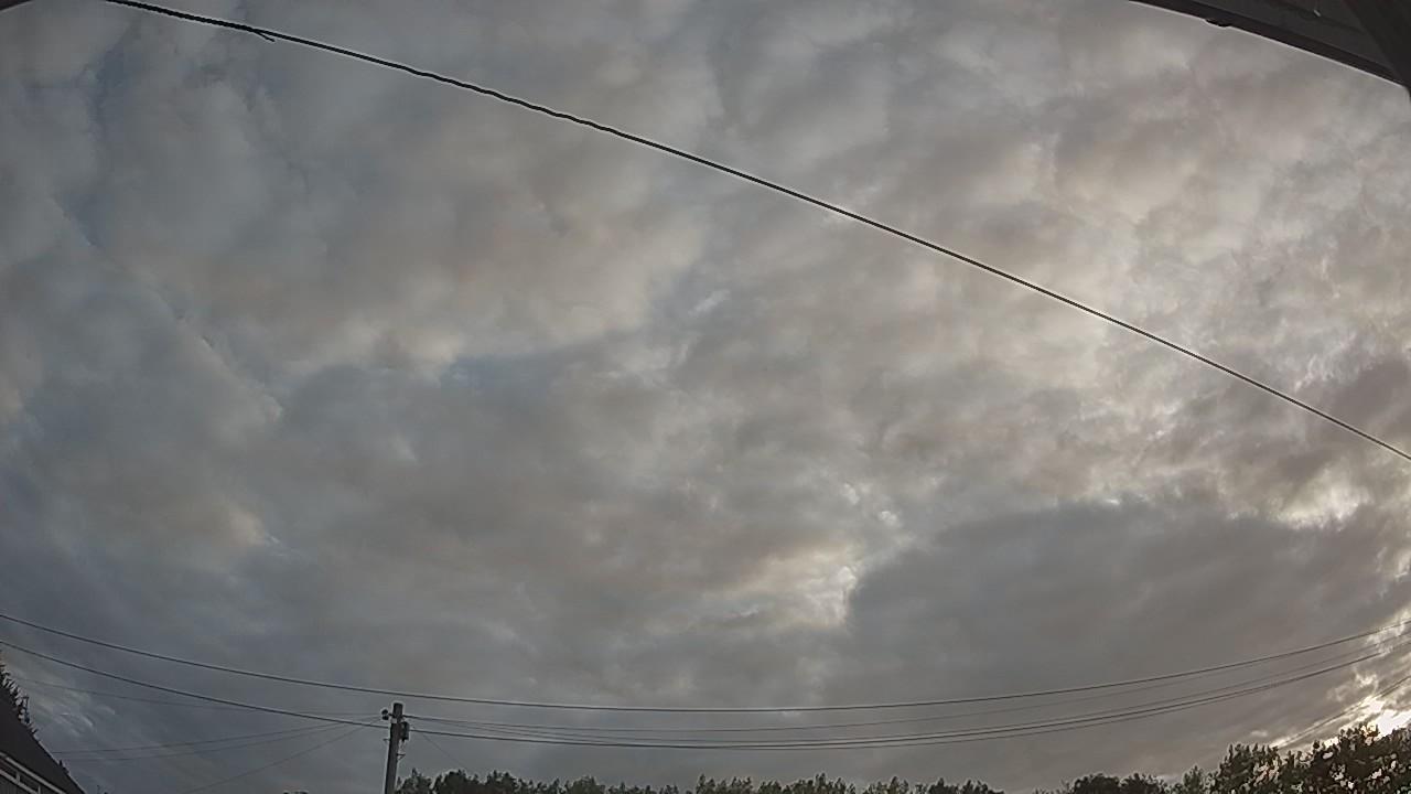 20260807_053340_cam2.jpg
