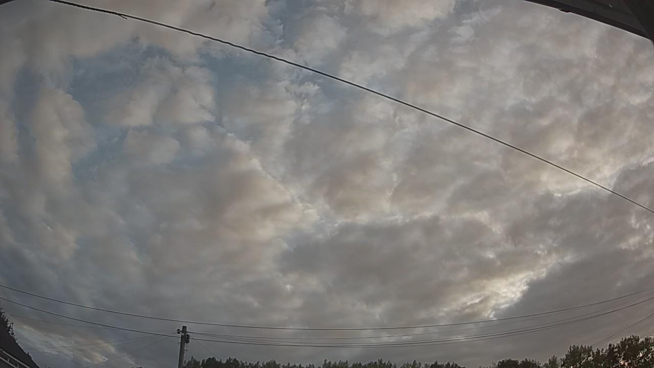 20260807_053817_cam2.jpg