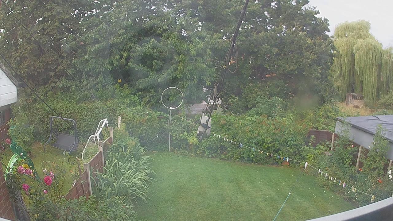 20260807_054253_cam1.jpg