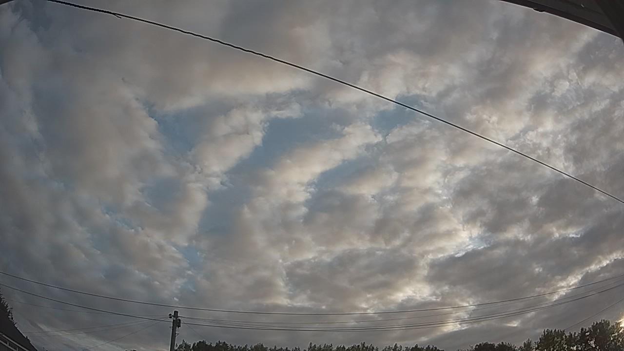 20260807_054254_cam2.jpg