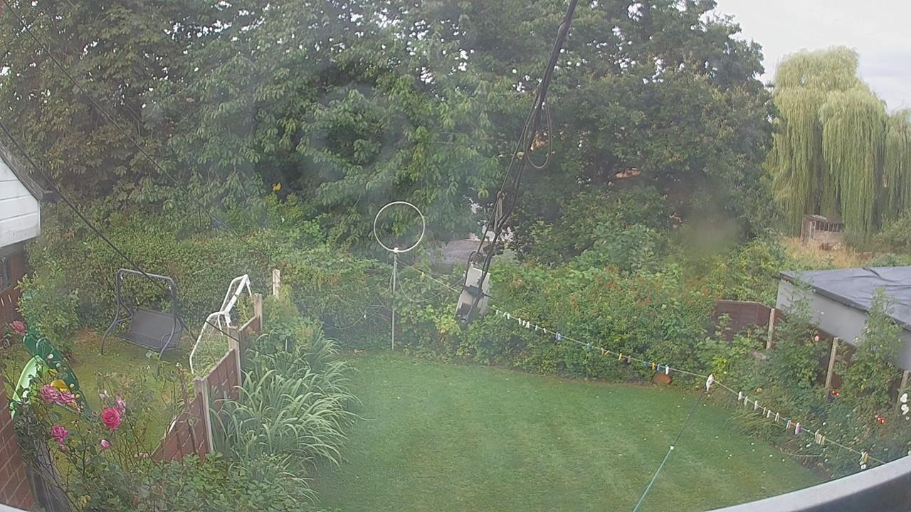 20260807_054729_cam1.jpg