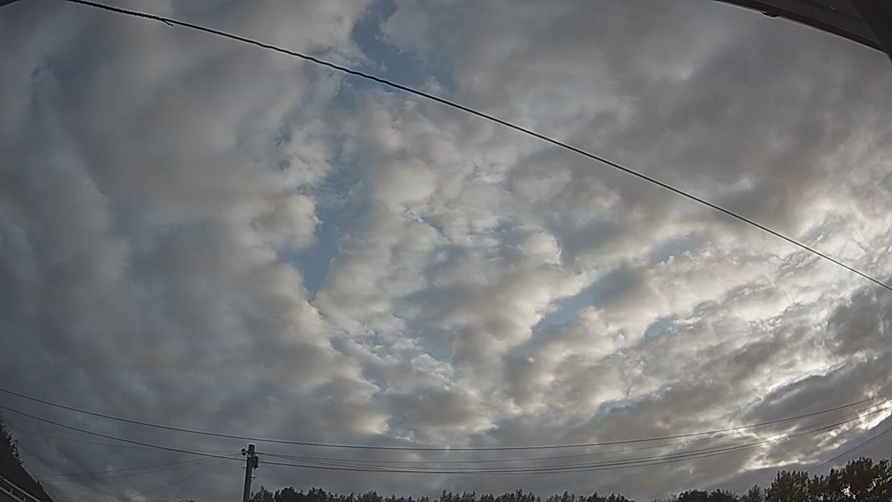 20260807_054730_cam2.jpg