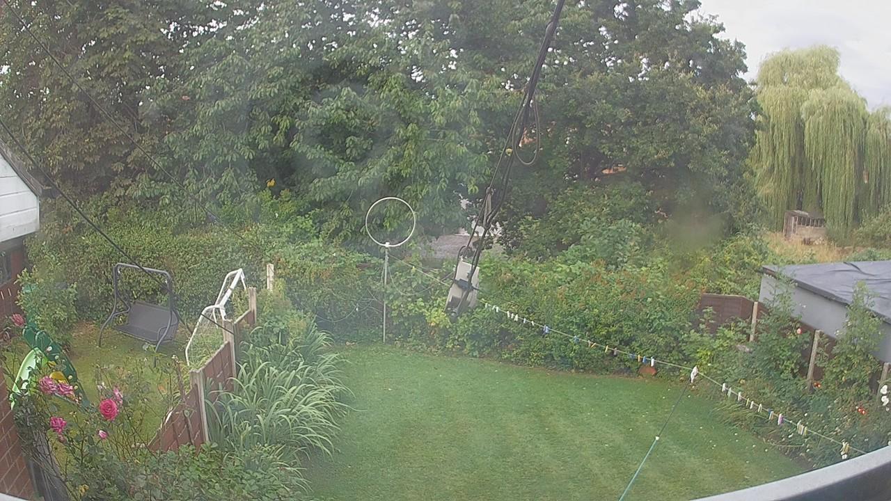 20260807_055206_cam1.jpg