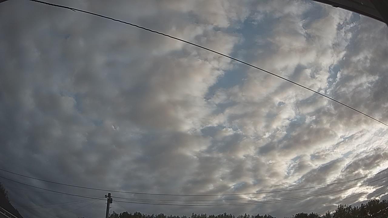 20260807_055207_cam2.jpg