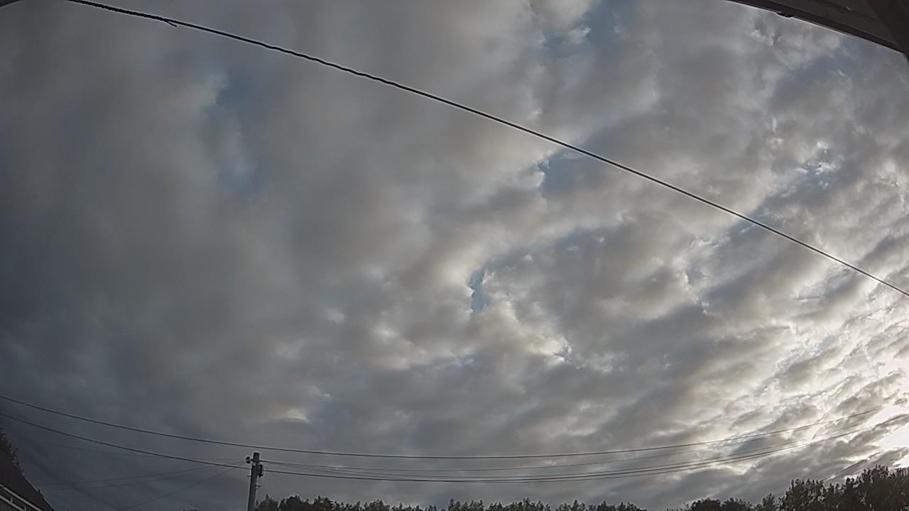 20260807_055643_cam2.jpg