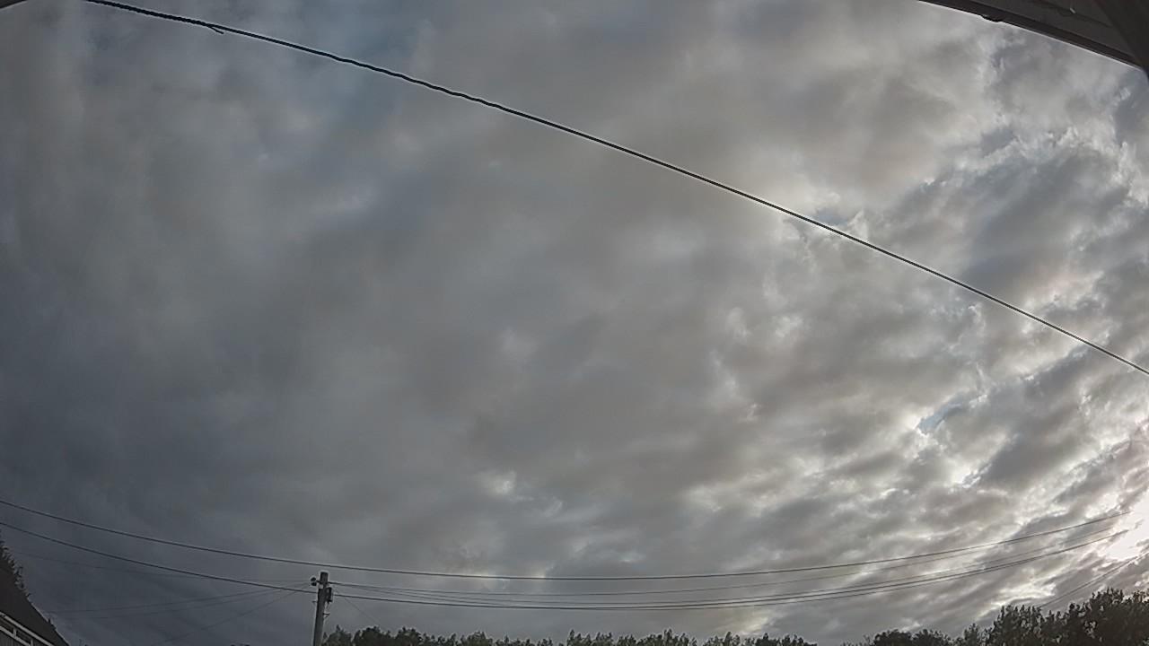 20260807_060119_cam2.jpg