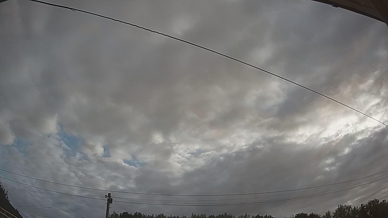 20260807_061453_cam2.jpg
