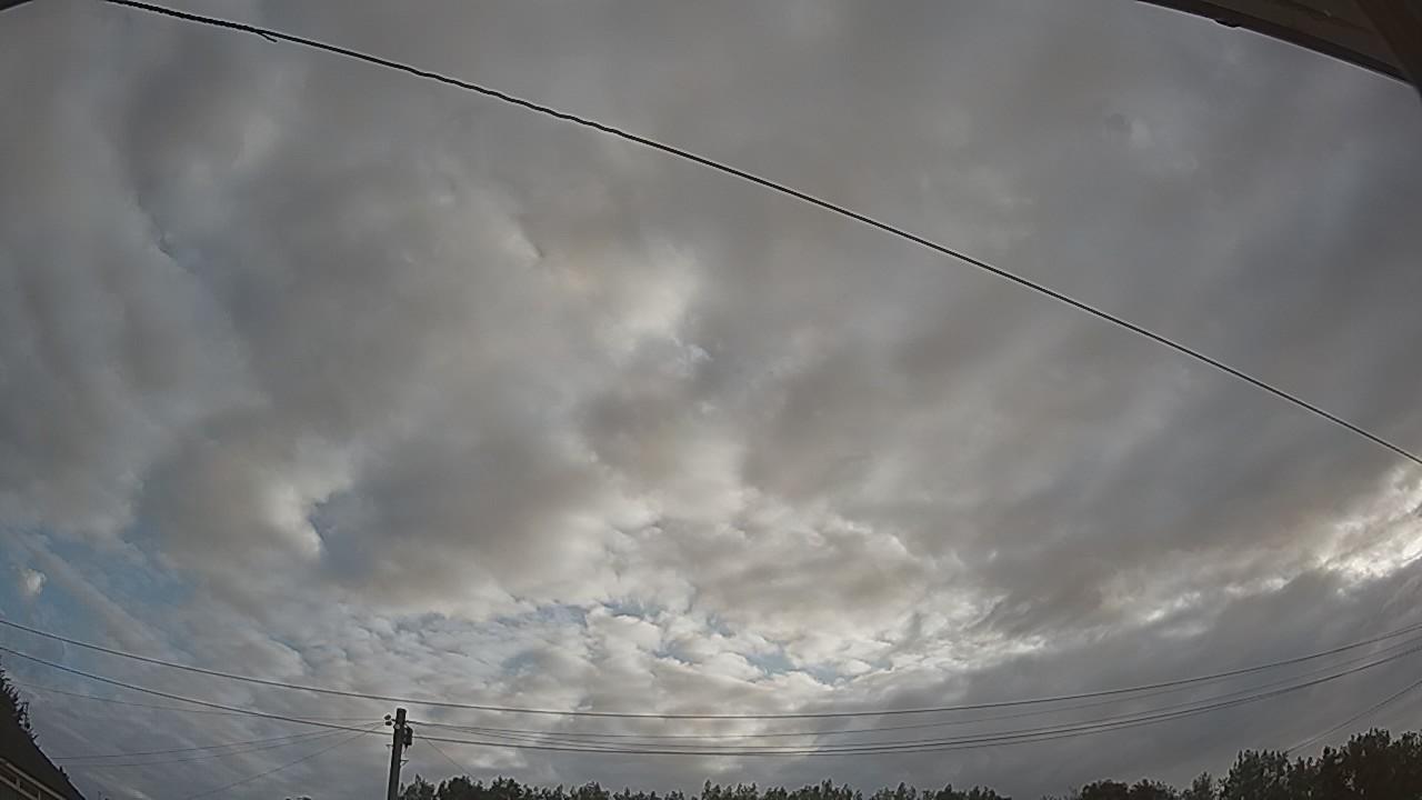 20260807_061929_cam2.jpg