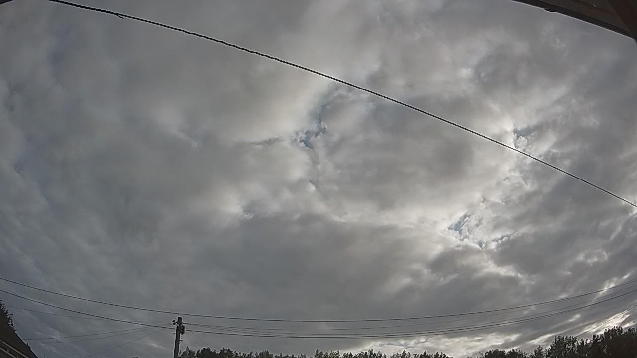 20260807_063754_cam2.jpg