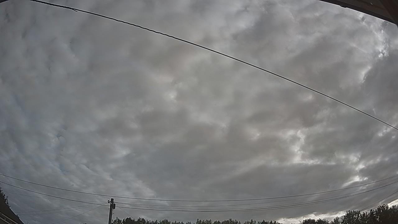 20260807_064230_cam2.jpg