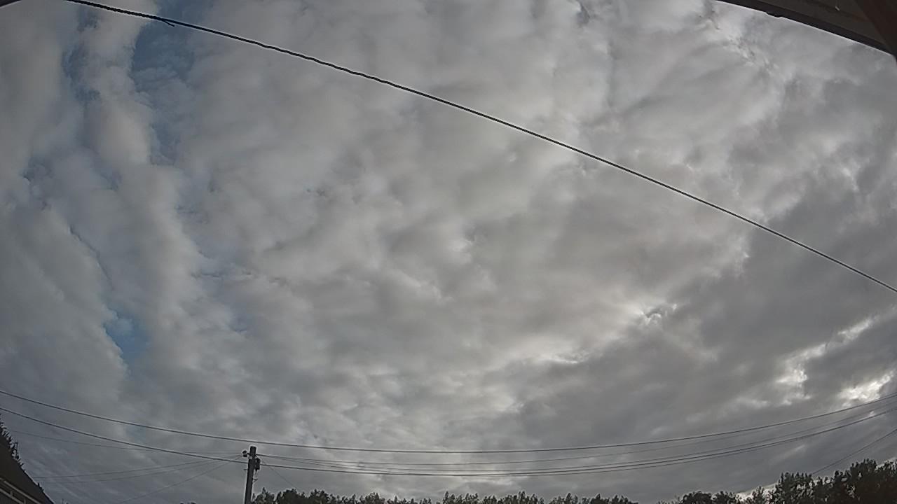 20260807_064706_cam2.jpg