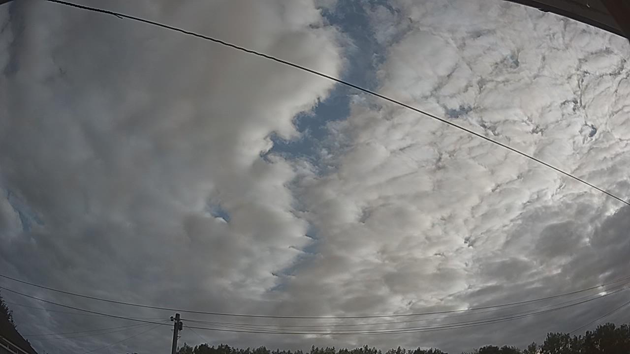 20260807_065143_cam2.jpg