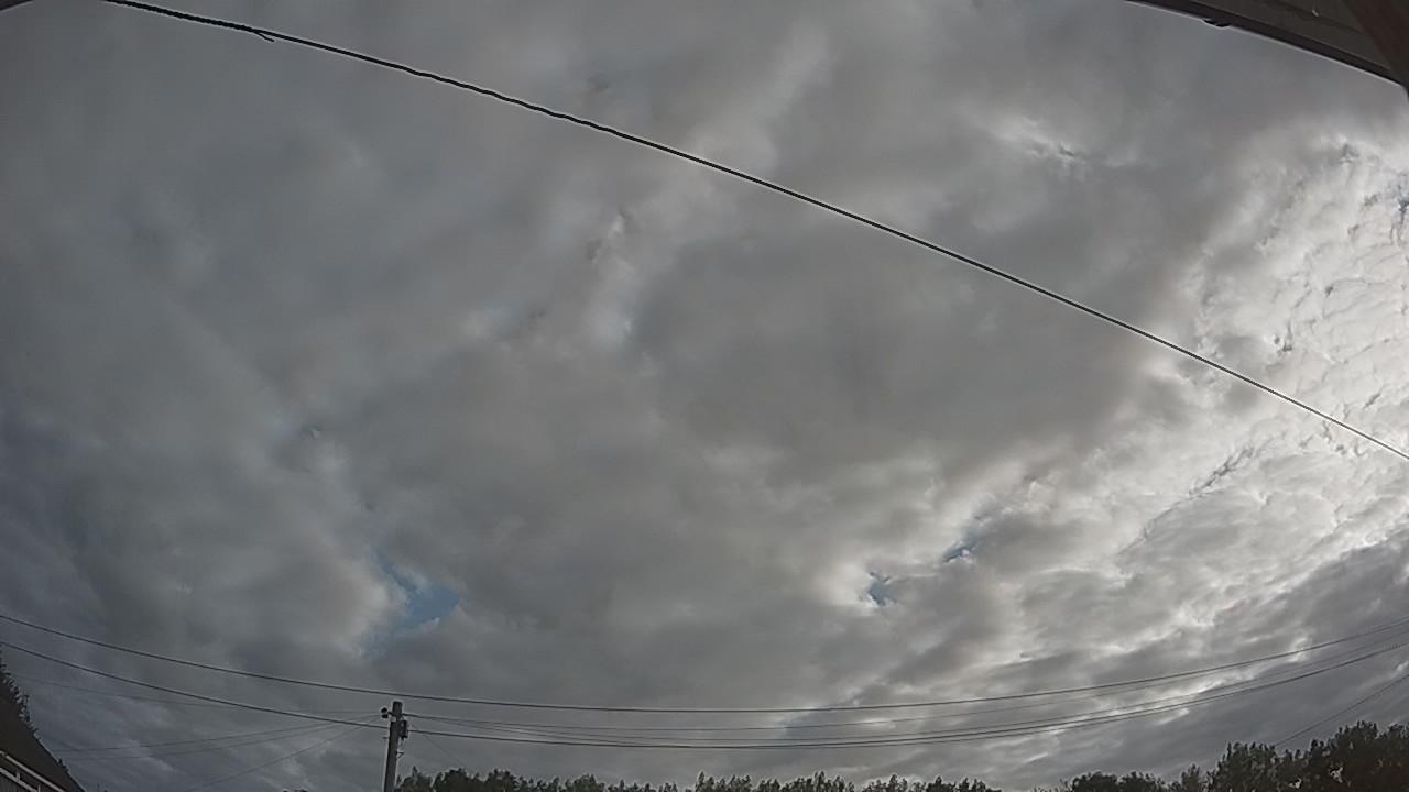 20260807_065619_cam2.jpg