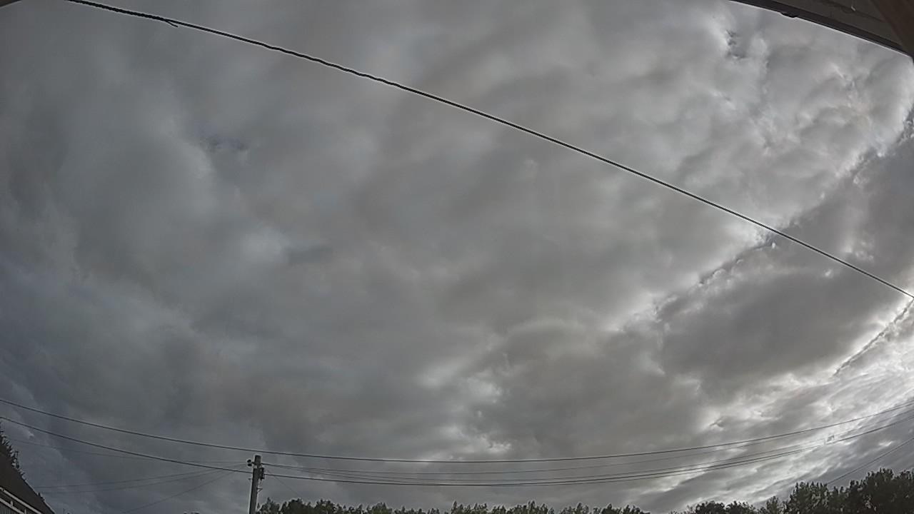 20260807_070047_cam2.jpg