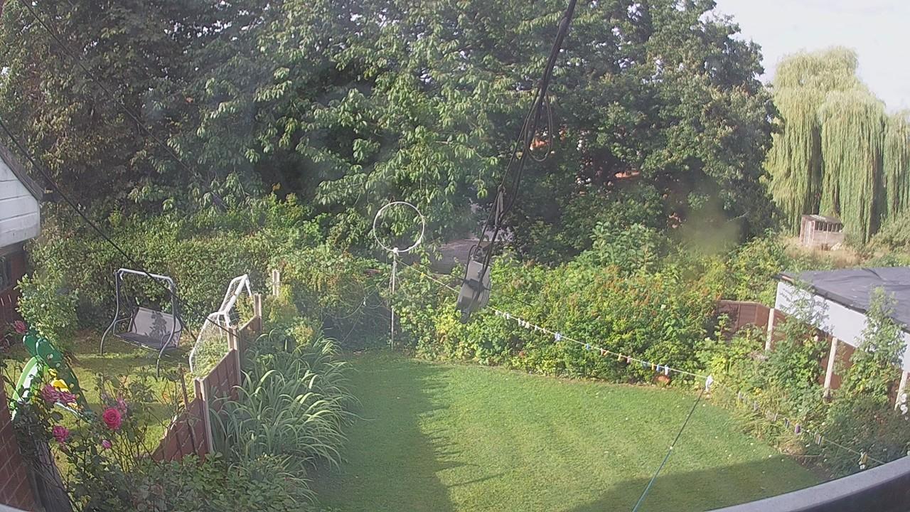 20260807_074522_cam1.jpg