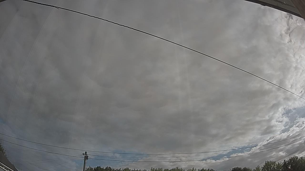 20260807_074523_cam2.jpg