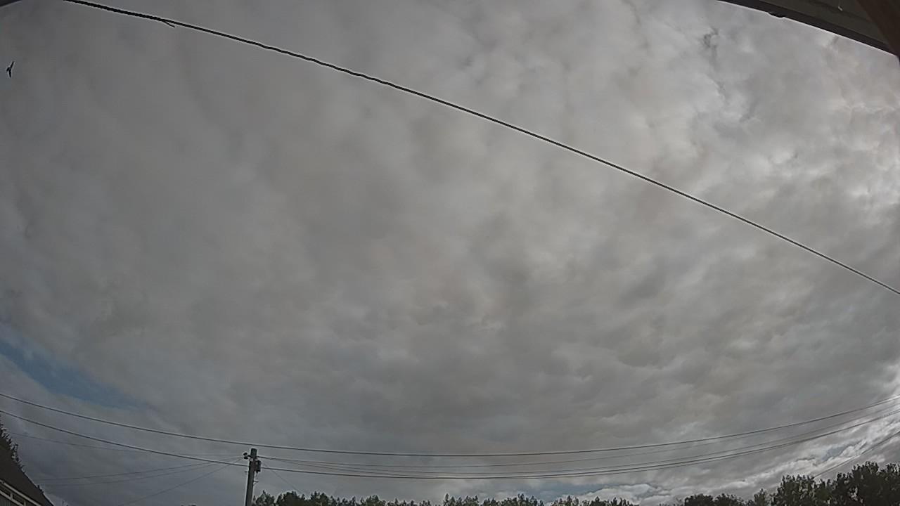 20260807_074949_cam2.jpg