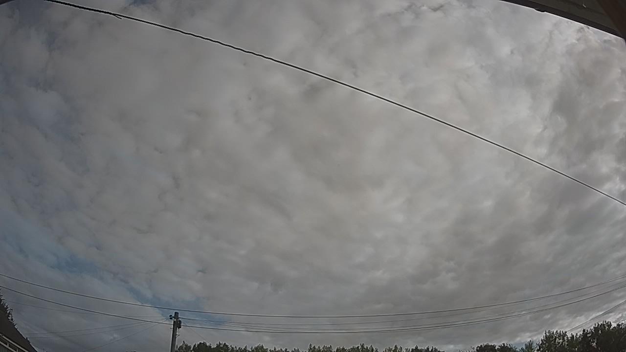 20260807_075418_cam2.jpg