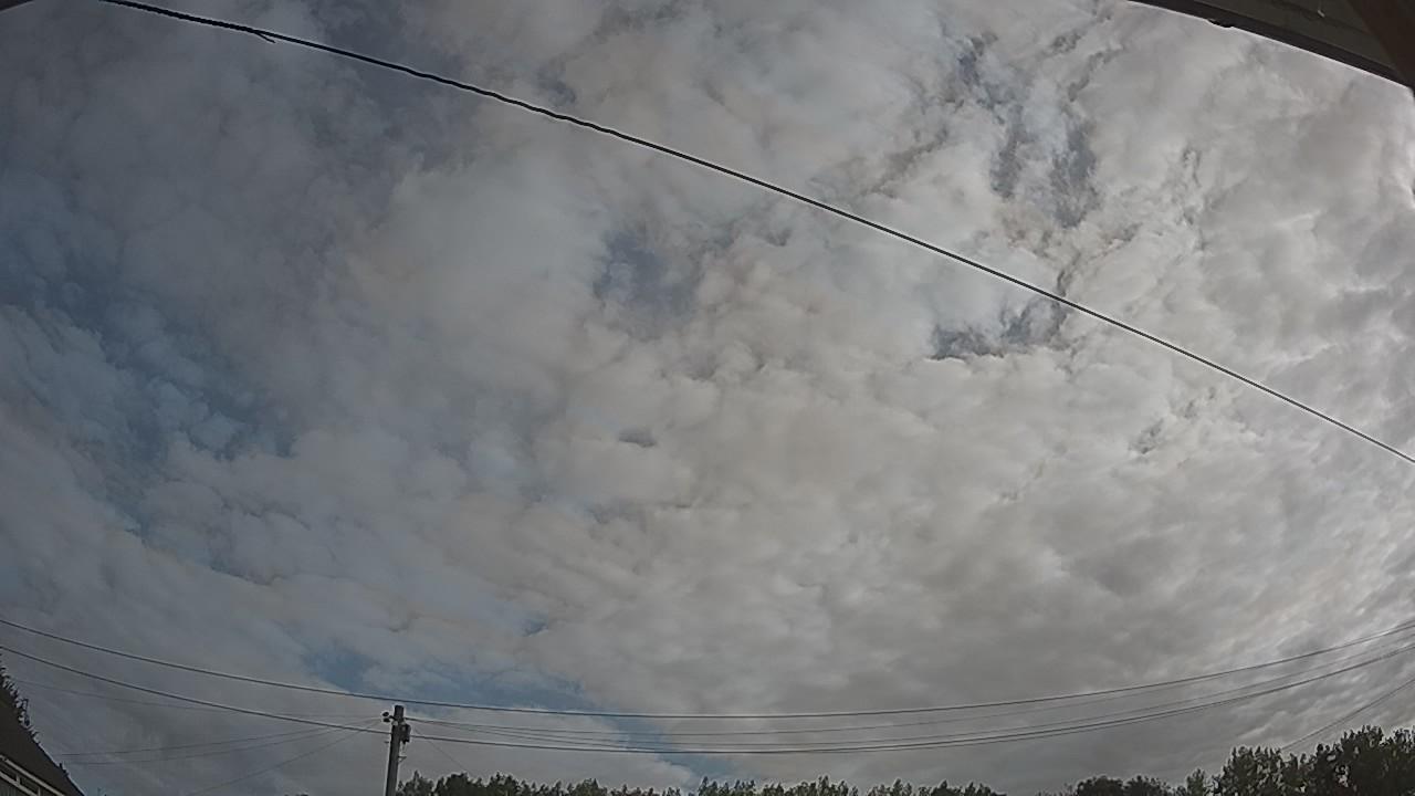 20260807_075854_cam2.jpg