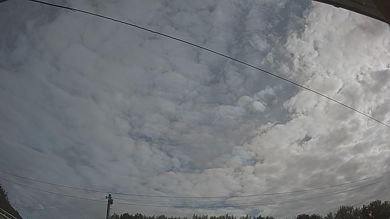 20260807_080332_cam2.jpg