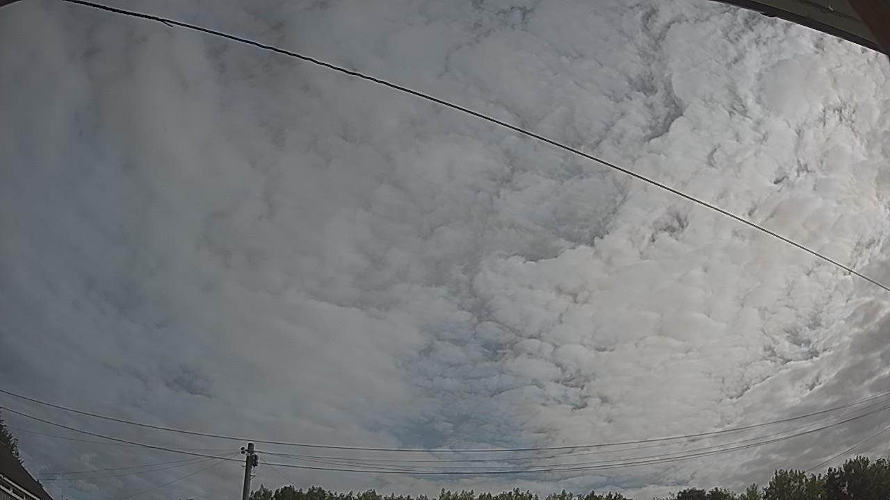 20260807_080807_cam2.jpg