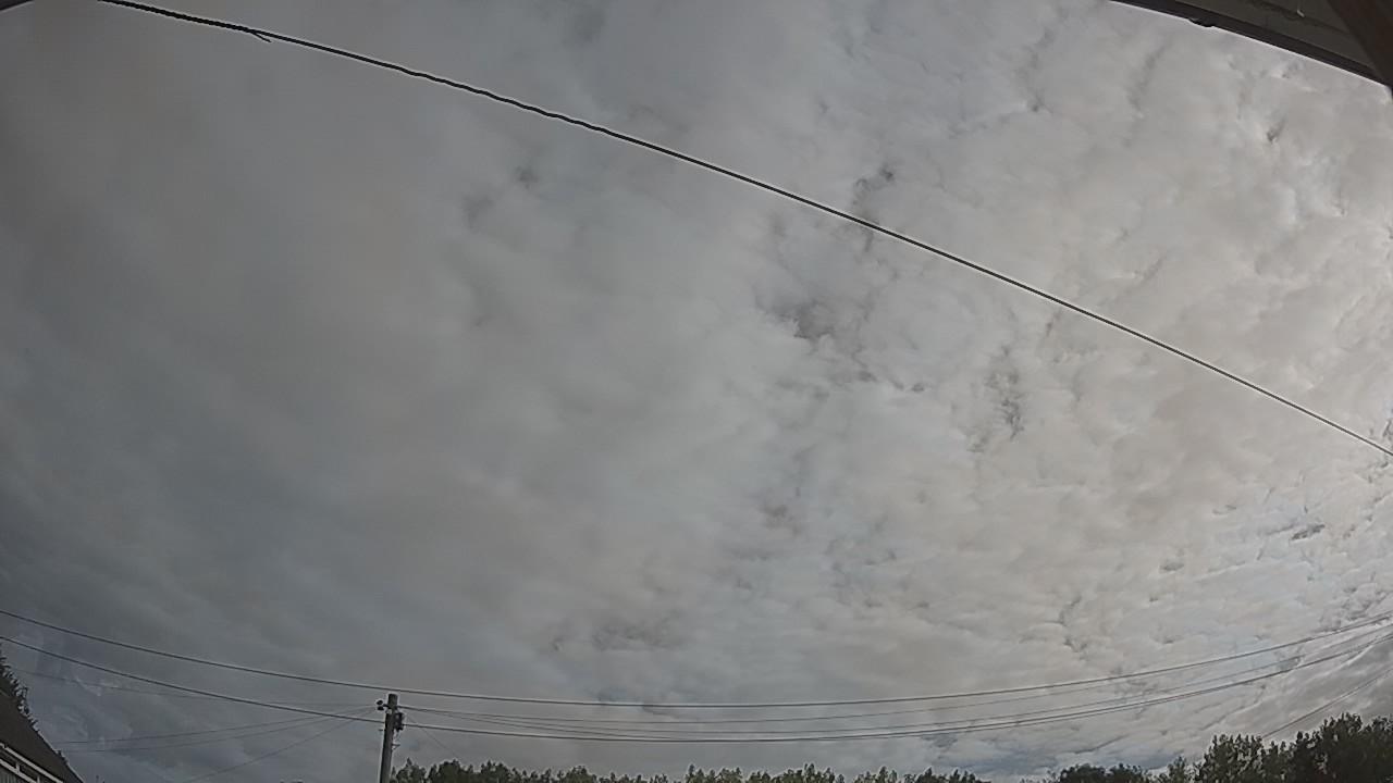 20260807_081244_cam2.jpg