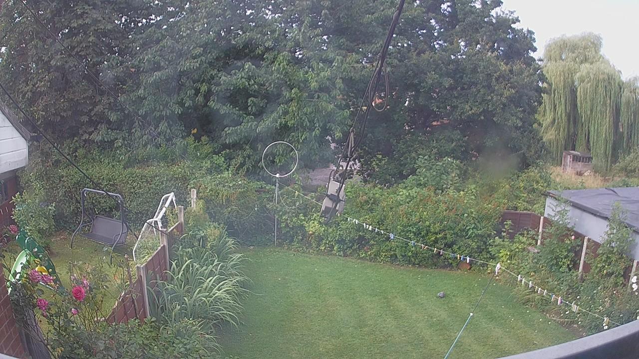 20260807_081719_cam1.jpg