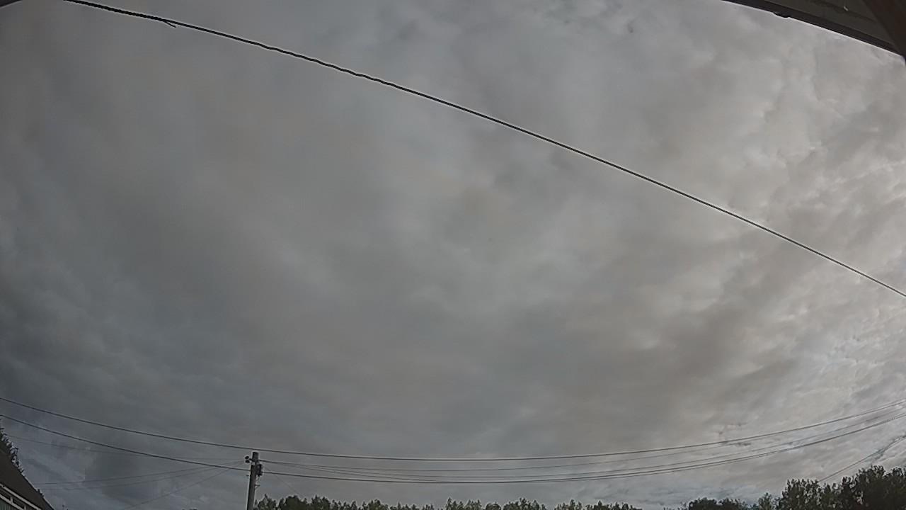 20260807_081720_cam2.jpg