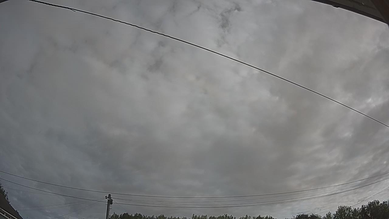 20260807_082157_cam2.jpg