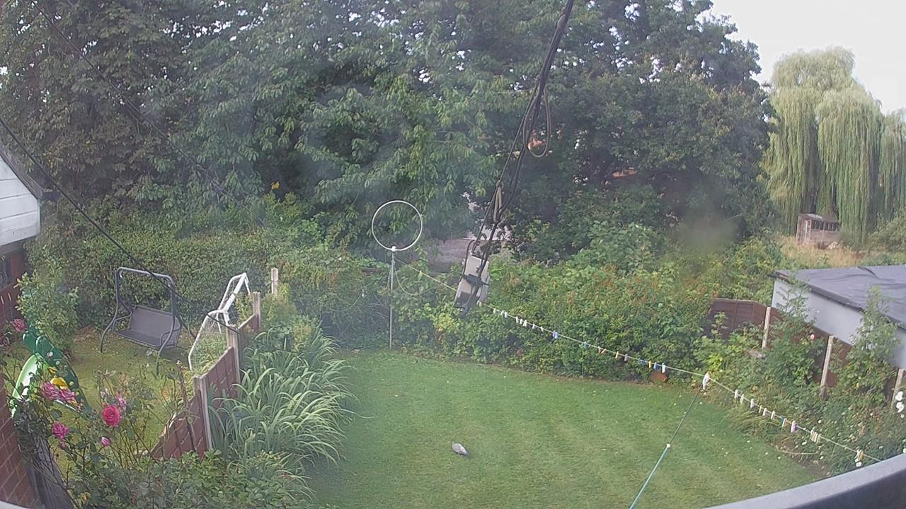 20260807_082632_cam1.jpg