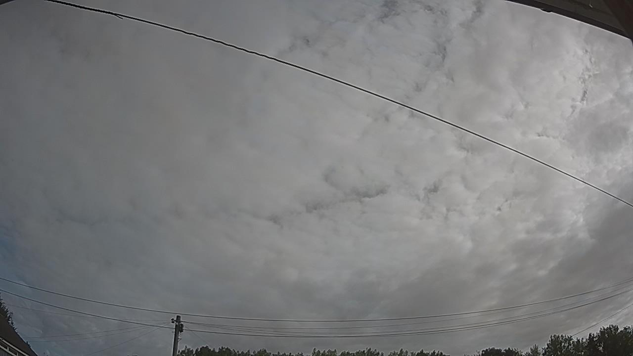 20260807_082633_cam2.jpg