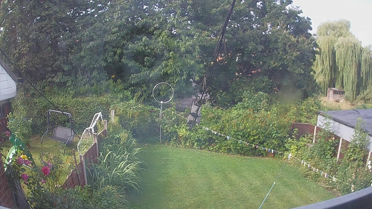 20260807_083100_cam1.jpg
