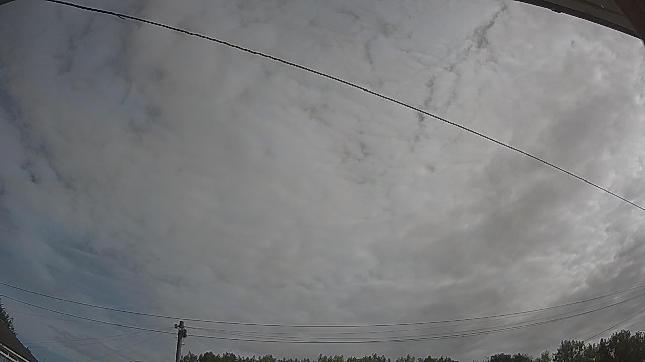 20260807_083101_cam2.jpg