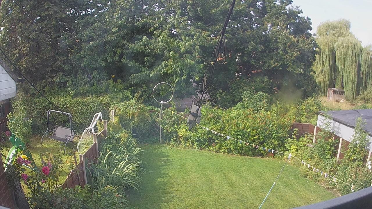 20260807_083528_cam1.jpg