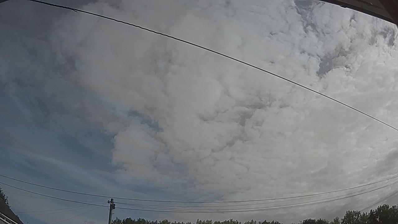 20260807_083529_cam2.jpg
