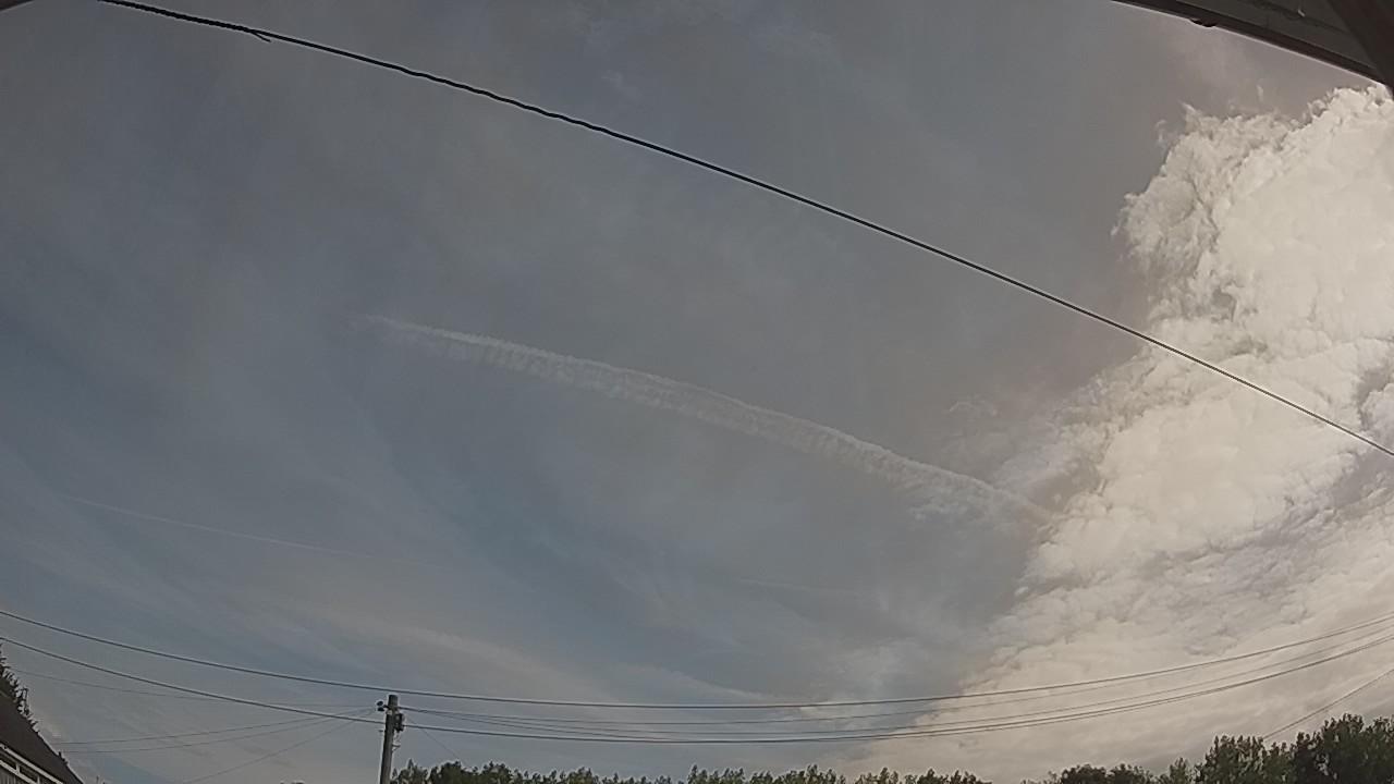 20260807_083956_cam2.jpg