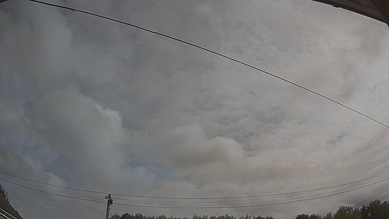 20260807_091108_cam2.jpg
