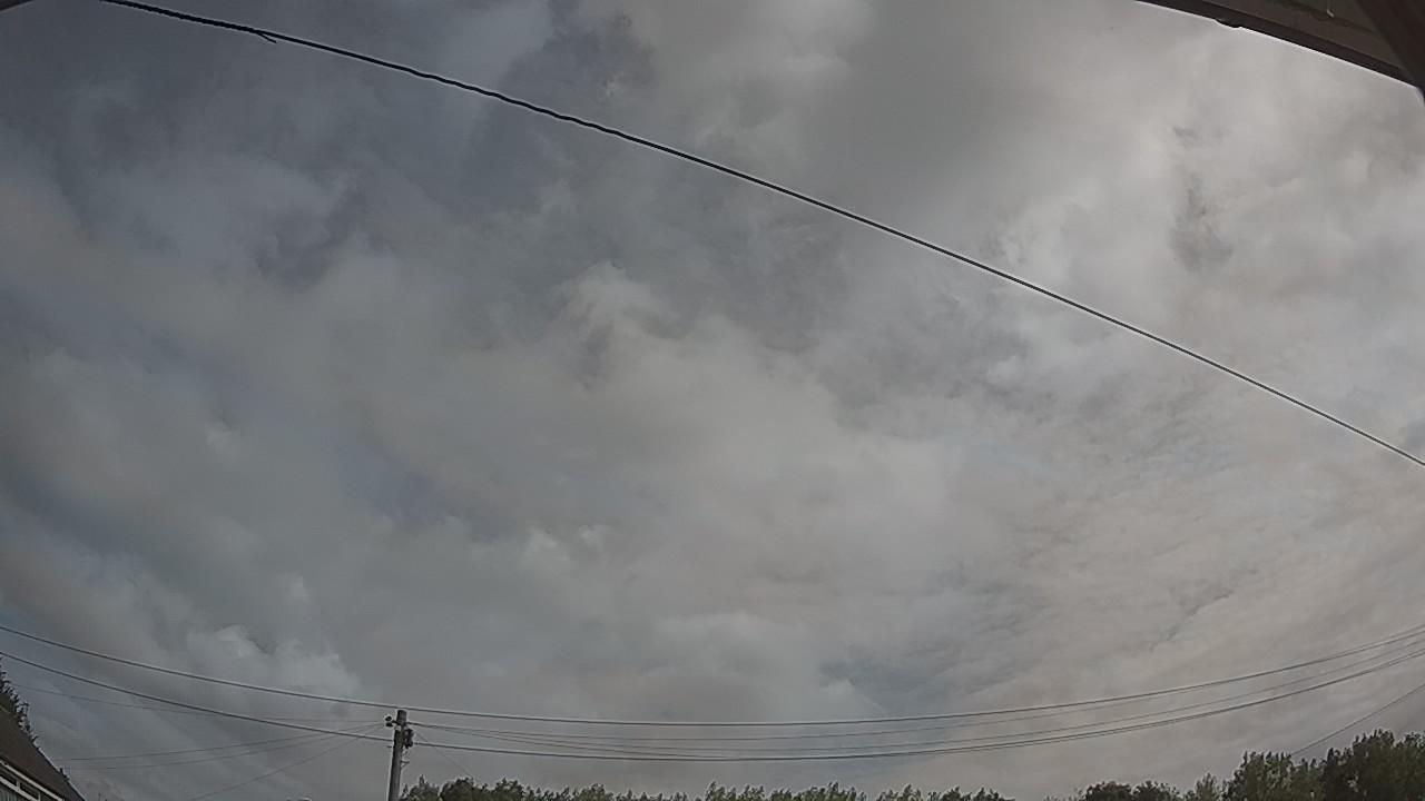 20260807_091535_cam2.jpg