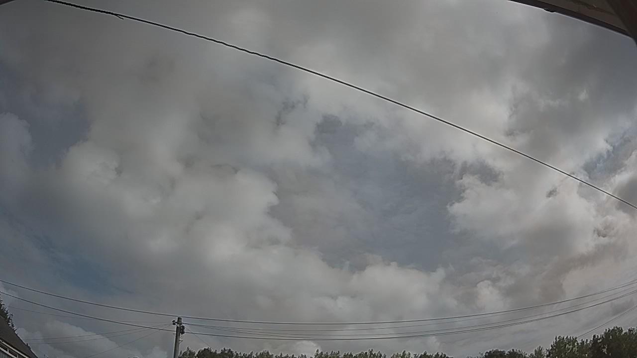 20260807_092429_cam2.jpg