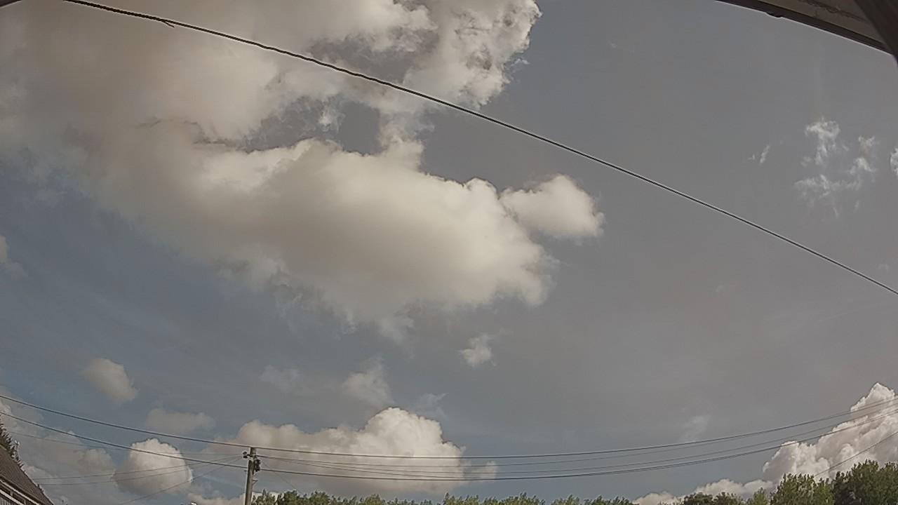 20260807_094829_cam2.jpg
