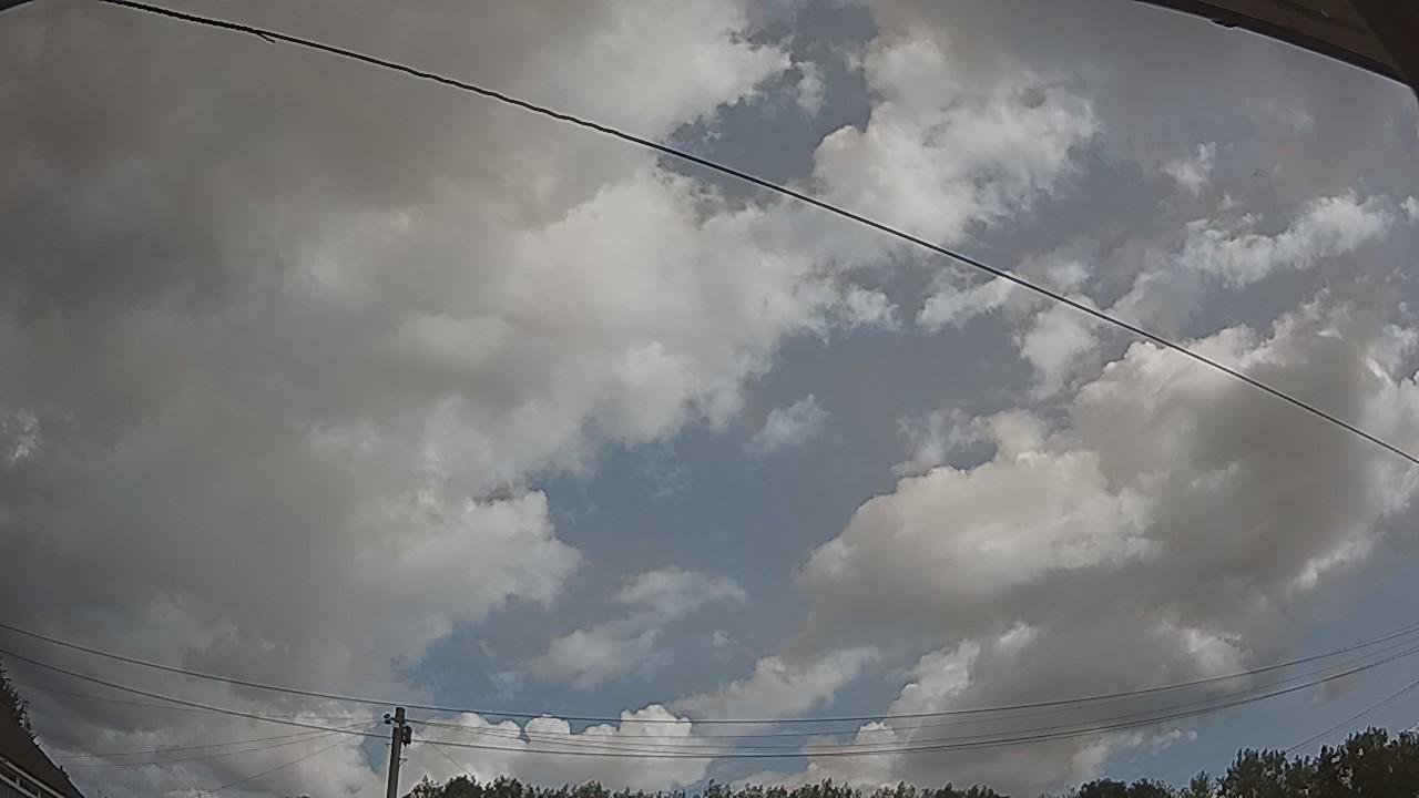 20260807_100038_cam2.jpg