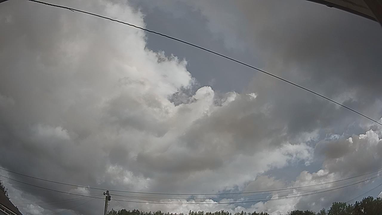 20260807_100447_cam2.jpg