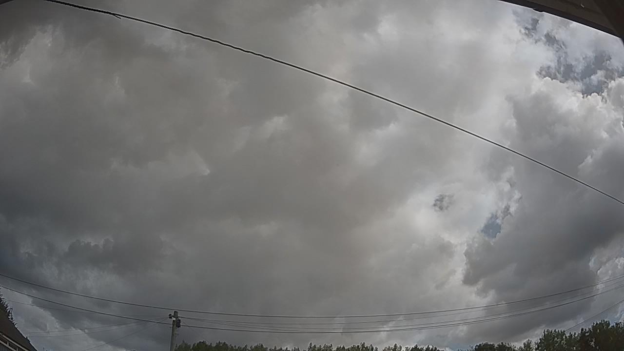 20260807_100856_cam2.jpg