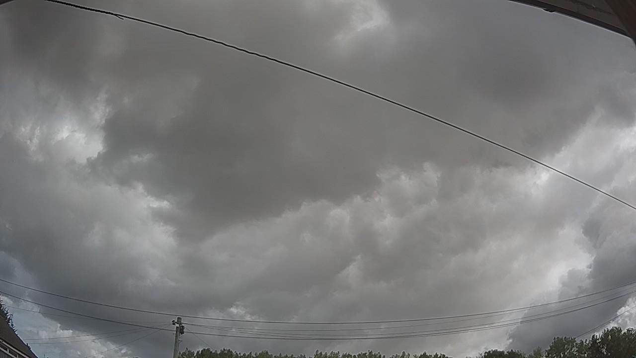 20260807_101305_cam2.jpg