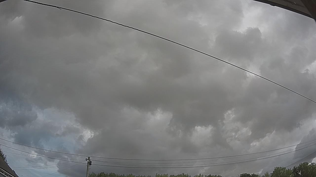 20260807_101714_cam2.jpg
